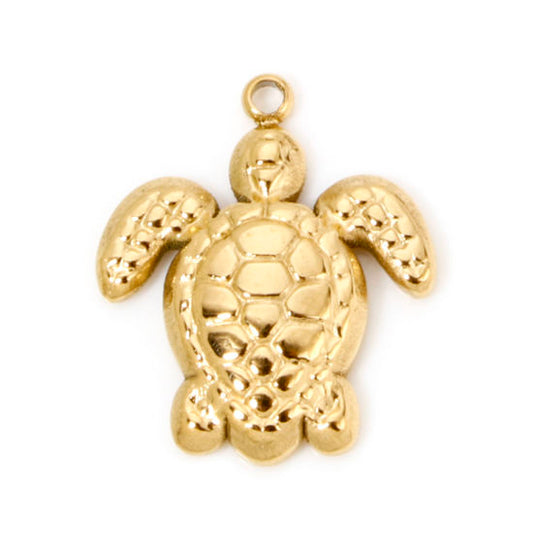Tortue doré - 18mm