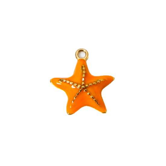 Etoile de mer orange - 16mm