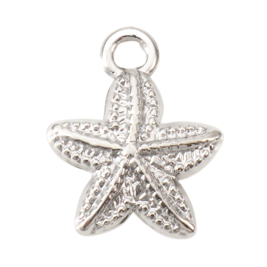 Petite étoile de mer